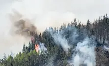 Над 150 пожарникари гасят горски пожар в Гърция