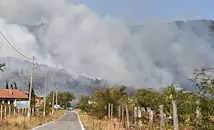 Огнена стихия заплашва къщите в село Димовци