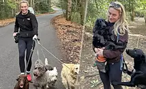 Адвокатка заряза кариерата си и забогатя от разхождане на кучета