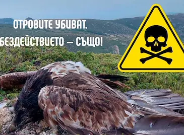 Русе се включва в протеста срещу отровите в природата