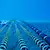 ЦРУ: Русия е картографирала подводните кабели на световната банкова система ЦРУ: Русия е картографирала подводните кабели на световната банкова система
