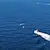 Самолет кацна аварийно в морето край турския град Ризе Самолет кацна аварийно в морето край турския град Ризе