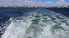 Тодор Георгиев: Държавата няма техника да спаси ударените кораби