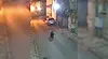 Малко мече тича по улиците на квартал в Благоевград