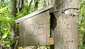 РИОСВ - Русе провери 25 къщички за сънливци край Ветово