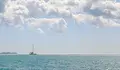 139 мигранти загинаха край бреговете на Джибути