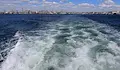 Тодор Георгиев: Държавата няма техника да спаси ударените кораби