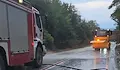 Цяла нощ чистиха 20 тона гранули за котешка тоалетна край Поликраище