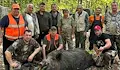 Ловци от село Семерджиево отстреляха 257-килограмов глиган