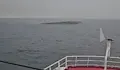 Български моряци спасиха девет души от поразения кораб край Констанца