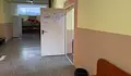 Питбул нахлу в избирателна секция в Казанлък