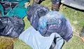 Заловиха бракониери със стотици метри мрежи на язовир „Жребчево“