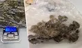 Арестуваха рецидивист с над 150 грама марихуана в квартал „Здравец“