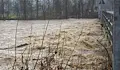 Напоителни дъждове носят риск от наводнения