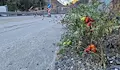 Домати дават реколта напук на ремонтите по път Е79