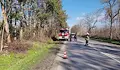 Паднало дърво затруднява трафика между Хотанца и Николово