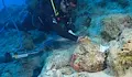 Кораб на 4 700 години пренаписа историята край Турция