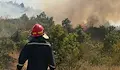 Пламна нерегламентирано сметище в село Басарбово