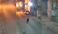 Малко мече тича по улиците на квартал в Благоевград