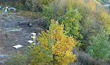 Мечки нахлуха в дворове край София