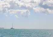 139 мигранти загинаха край бреговете на Джибути