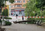 Ураганен вятър затвори училищата в Сливен