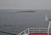 Български моряци спасиха девет души от поразения кораб край Констанца