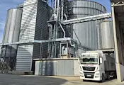 Добивите от царевица в Русенско скочиха с 60%