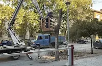 Започна масово премахване на опасни дървета в Русе