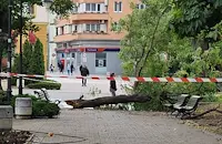 Ураганен вятър затвори училищата в Сливен