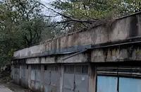 Три дървета паднаха край пешеходна алея в Русе след 2 години бездействие