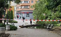 Ураганен вятър затвори училищата в Сливен