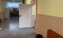 Питбул нахлу в избирателна секция в Казанлък