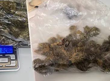 Арестуваха рецидивист с над 150 грама марихуана в квартал „Здравец“