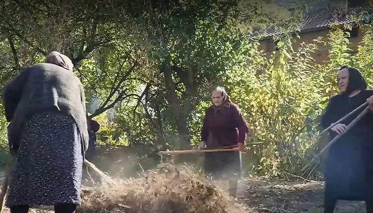 Местните хора пазят стар обичай за отделяне на зърната от шушулките Местните хора пазят стар обичай за отделяне на зърната от шушулките