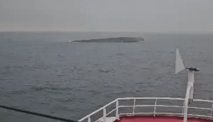 Спасителна операция на български моряци край Констанца