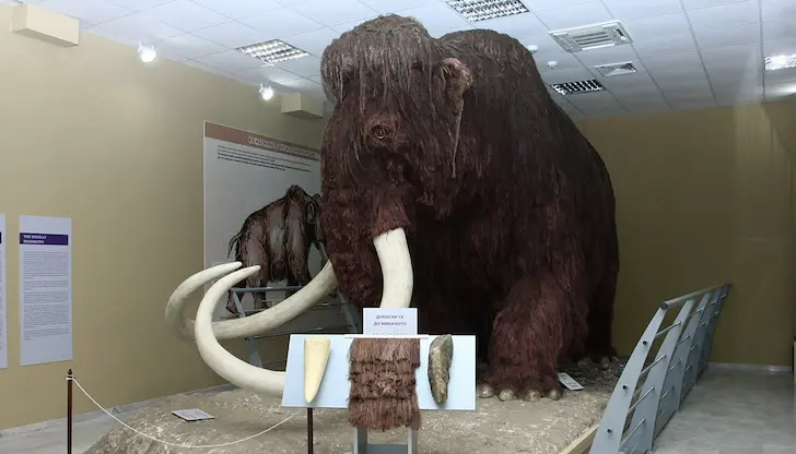 Първият „Мамут фест“ в Русе ще се проведе през юли 2027 година