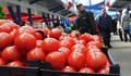 Не вярвайте, че на пазара сега има български домати