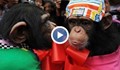 Маймунска сватба взриви зоологическа градина