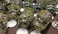 Полицаи откриха 21 буркана с марихуана, заровени в градина