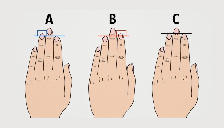 Какво казват за нас пръстите на ръката?