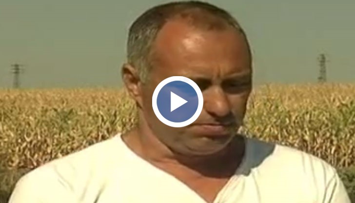Вече четвърта година земеделецът Александър Димитров използва утайката като биотор