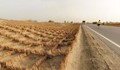 Китай построи 900 километра магистрала в пустинята
