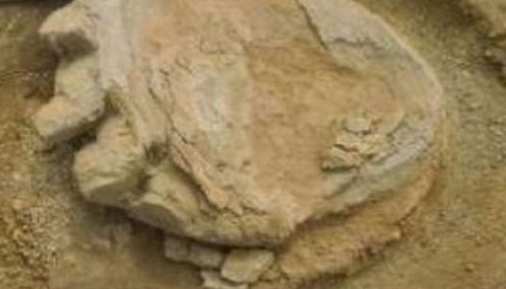 Монголски и японски учени попаднаха на гигантски динозавърски отпечатък в пустинята Гоби