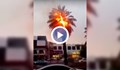 В Кувейт е толкова горещо, че палмите се самозапалиха