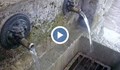 В русенски чешми тече опасна вода