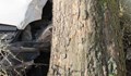 18-годишен шофьор се блъсна в дърво на улица "Доростол"