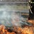 Огнеборци спасиха царевична нива в Смирненски