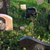 Гробище за домашни любимци в Русе