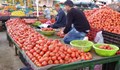 Търговци надуват 4 пъти цените на доматите